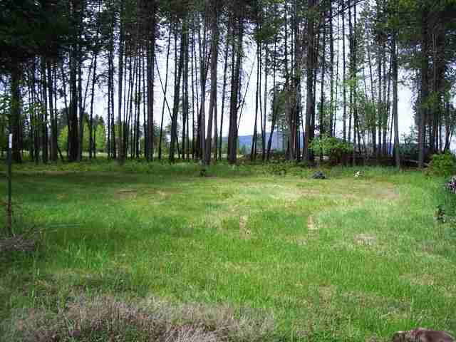 28815 North Spotted Road Deer Park, WA 99006 - Photo 8 of 8