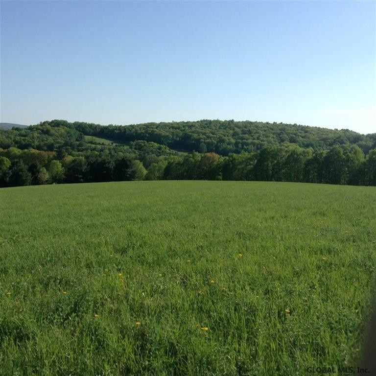 Lot#4 Mitchell Road Hoosick Falls, NY 12090 - Photo 3 of 4 Photo 3