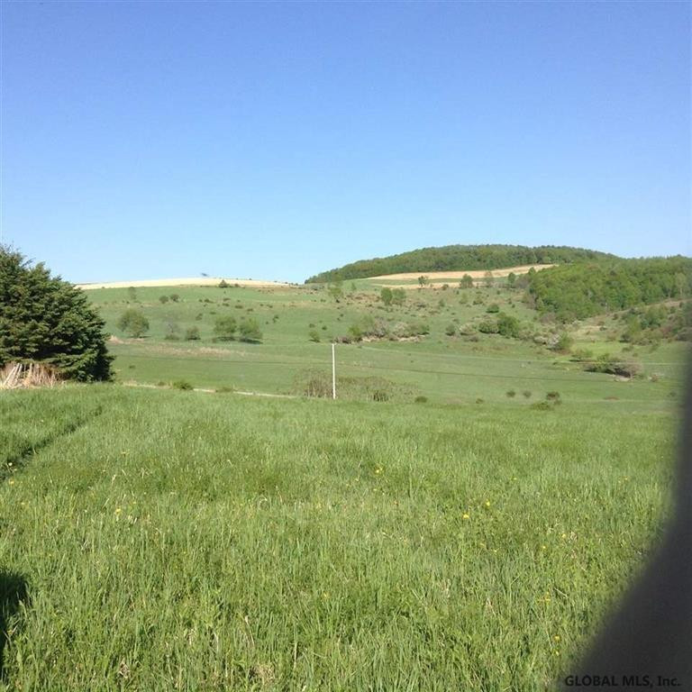 Lot#4 Mitchell Road Hoosick Falls, NY 12090 - Photo 4 of 4 Photo 4