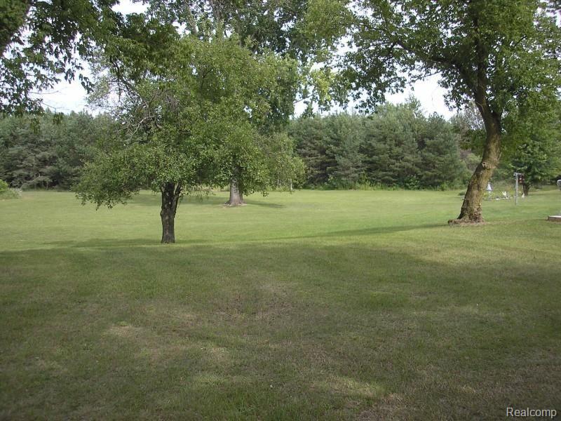 2375 Tin Bill Road Caro, MI 48723 - Photo 5 of 8 Tin Bill acreage.jpg