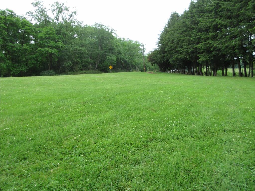 a view of a green field with trees