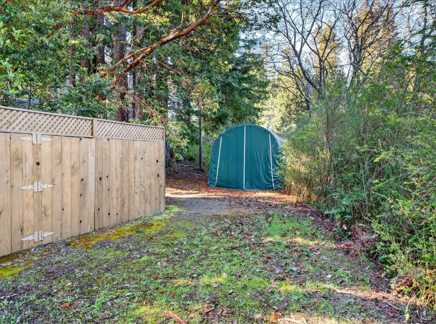 22510 Fort Ross Road Cazadero, CA 95421 - Photo 3 of 22 a view of a backyard with large trees and wooden fence