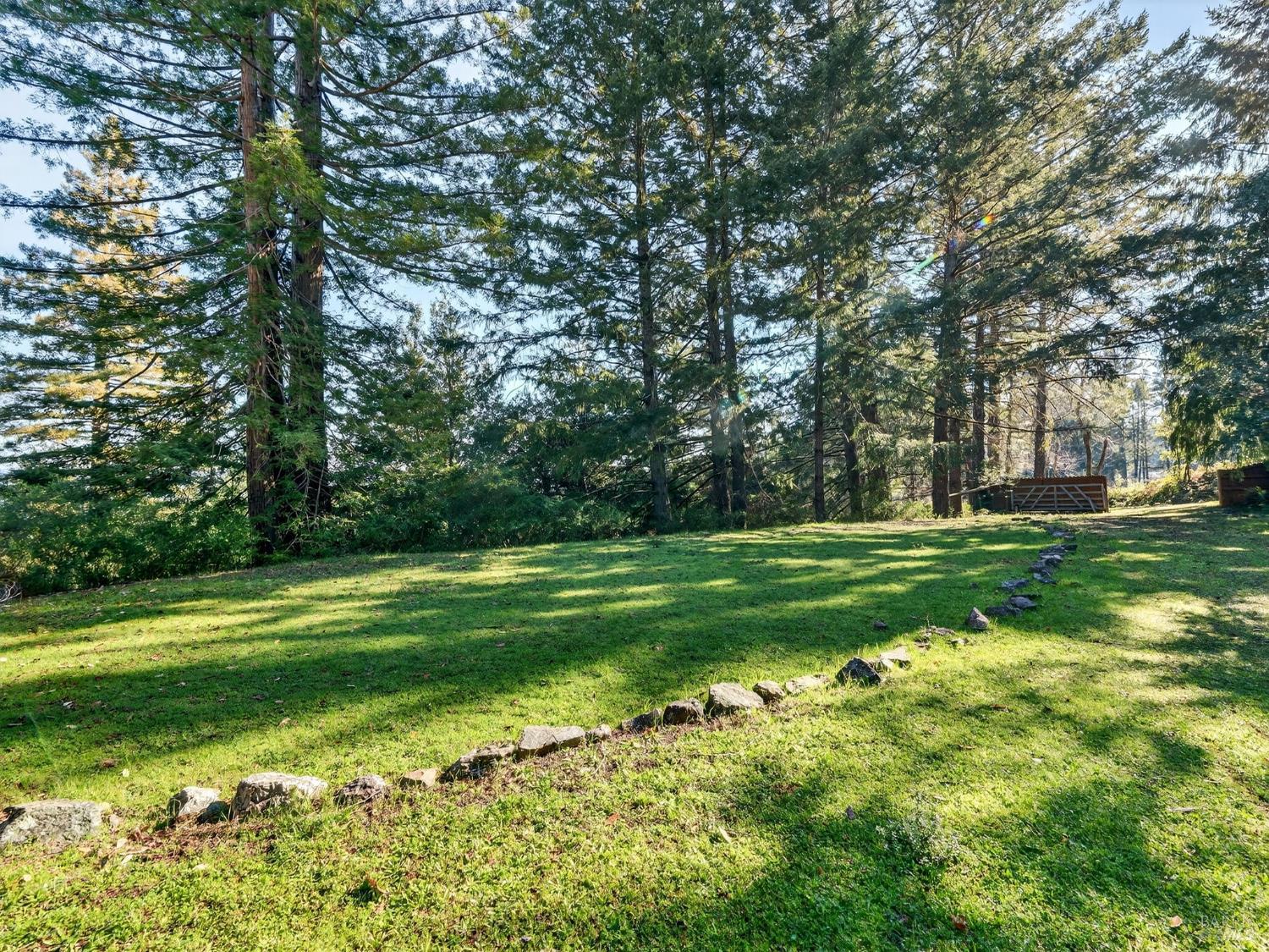 22510 Fort Ross Road Cazadero, CA 95421 - Photo 9 of 22 a view of a park with large trees