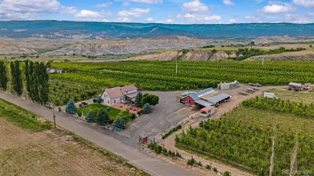 a view of a city with an ocean