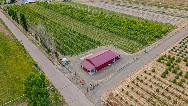a view of a bench in the garden
