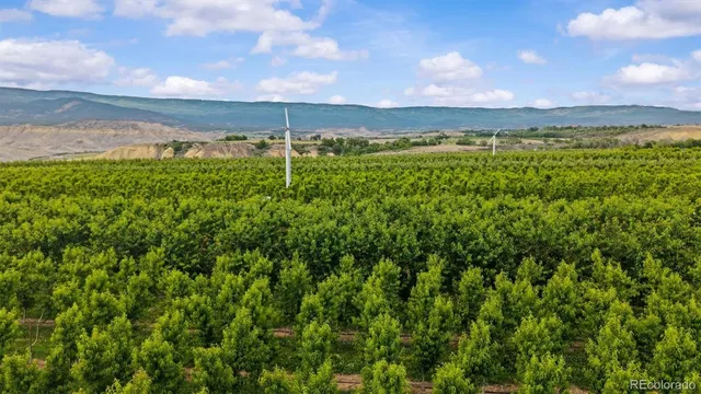 a view of a lake and sunset