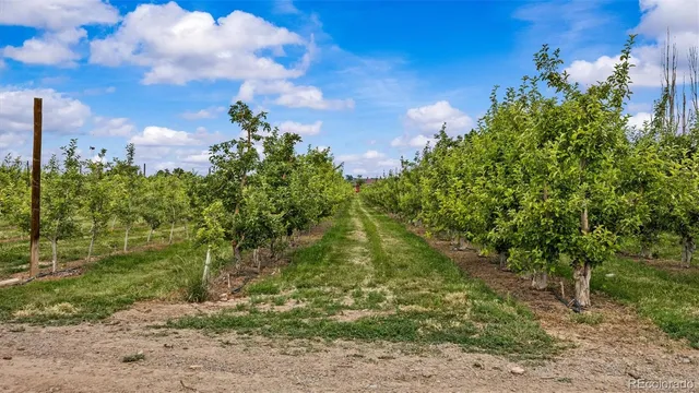 a yard with a house in the background