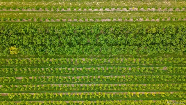 a view of an outdoor space with a lake view