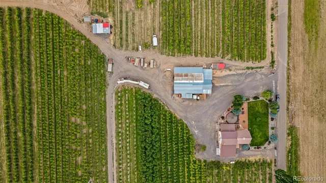 an outdoor view of garden
