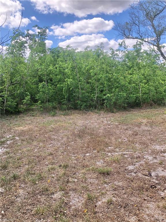 19 Massachusetts Road Lehigh Acres, FL 33936 - Photo 20 of 20 a view of a field with a trees in the background