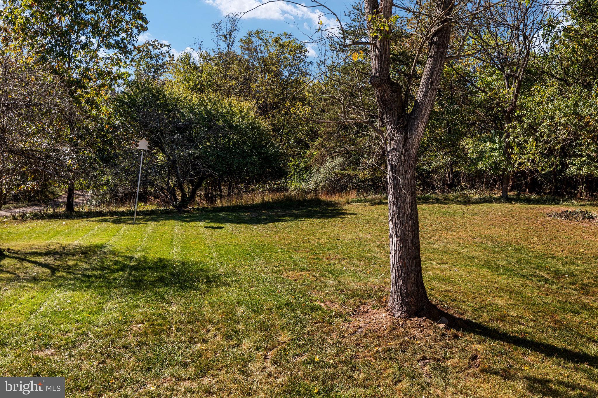 224 Burnt Factory Road Stephenson, VA 22656 - Photo 24 of 40 Gallery Image 24