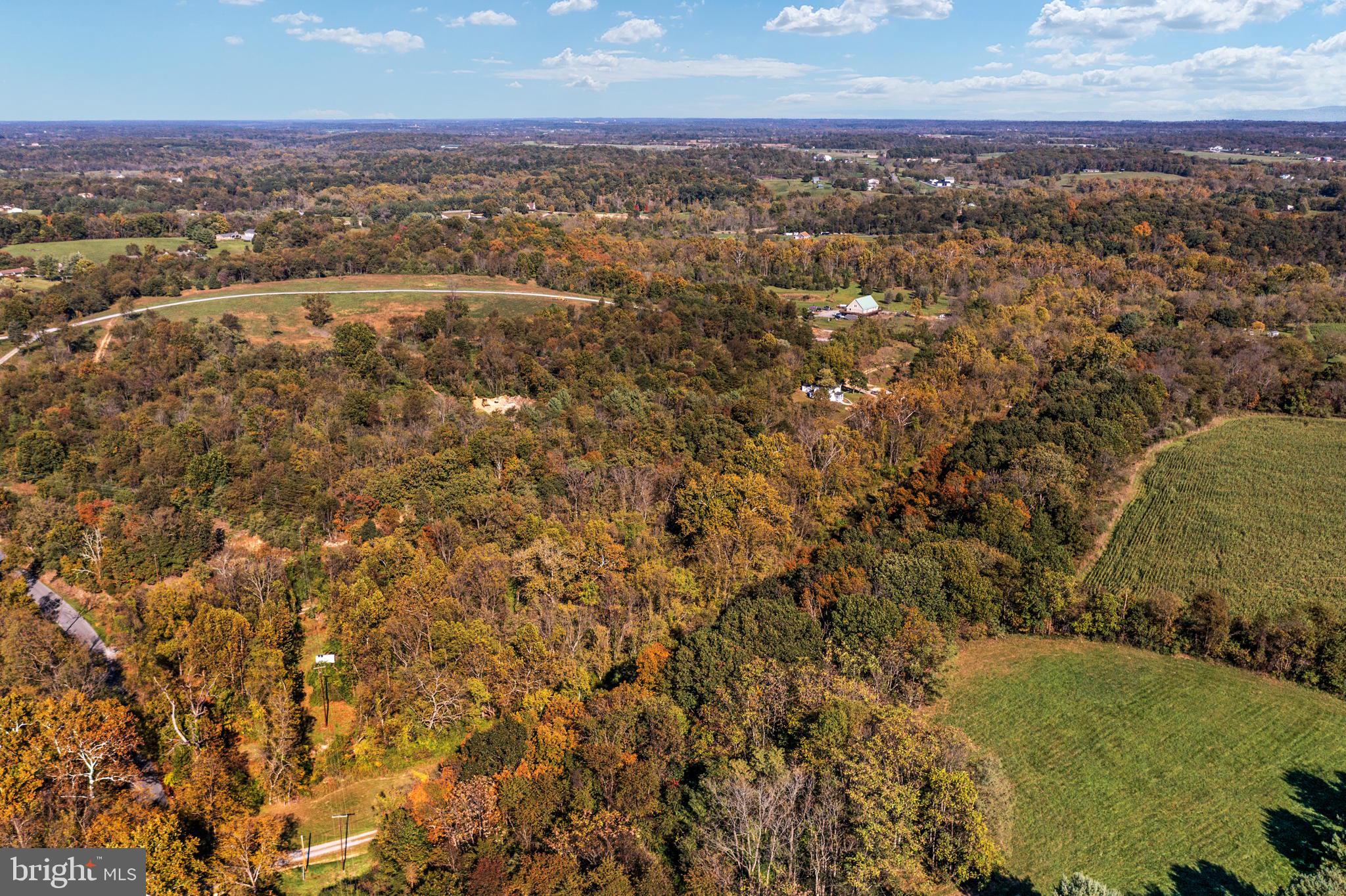 224 Burnt Factory Road Stephenson, VA 22656 - Photo 33 of 40 Gallery Image 33