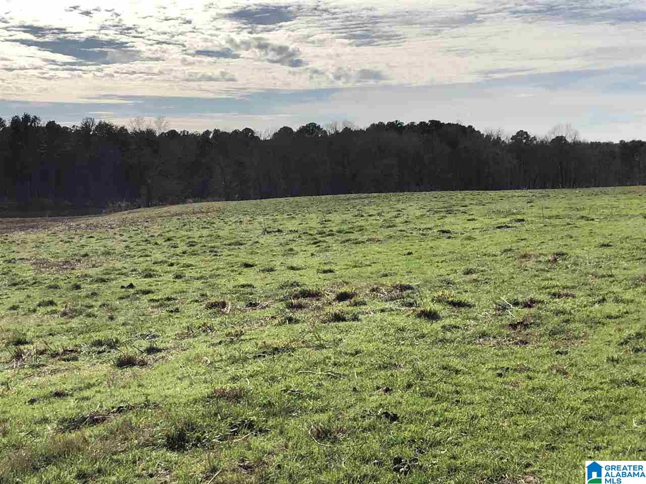 609 Cobb Brazeel Road Trafford, AL 35172 - Photo 37 of 42