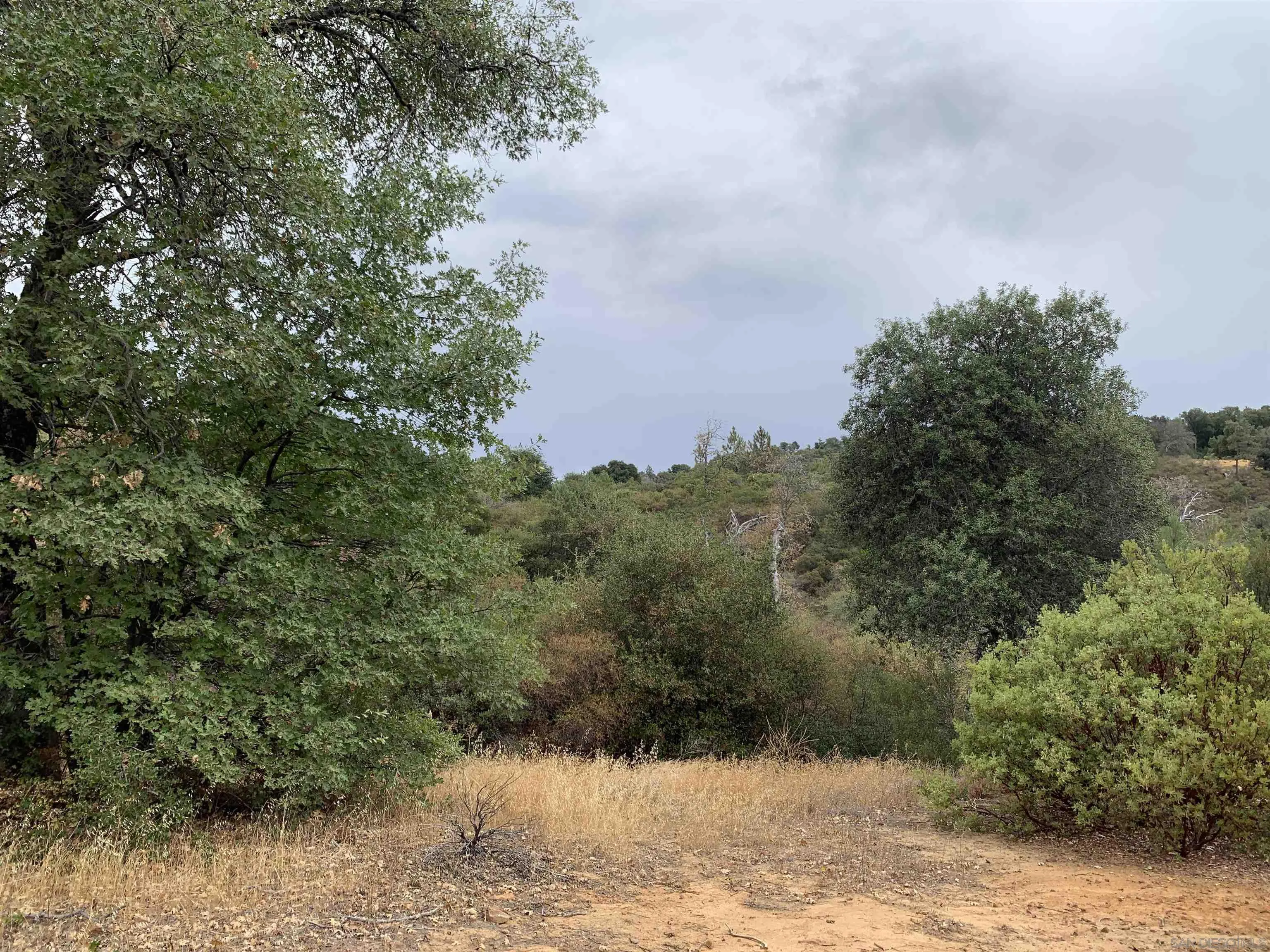 0 West Incense Cedar Road, Unit 40 Julian, CA 92036 - Photo 15 of 20