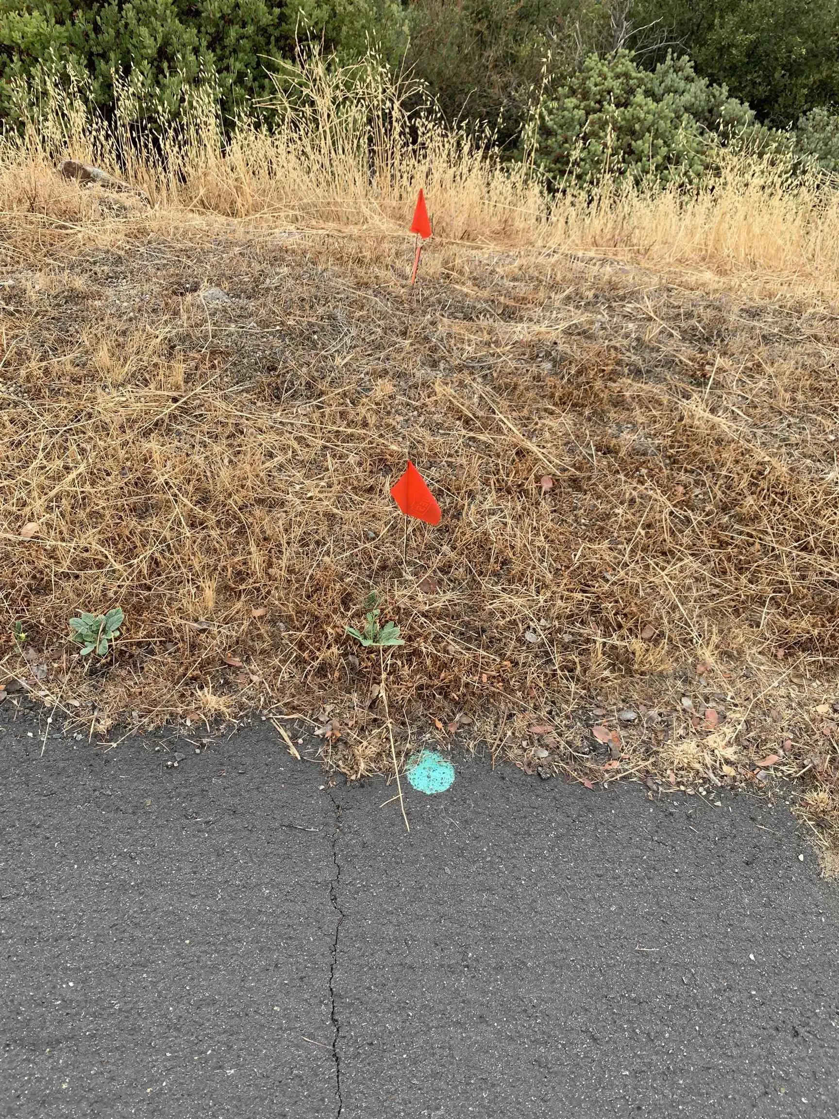 0 West Incense Cedar Road, Unit 40 Julian, CA 92036 - Photo 19 of 20