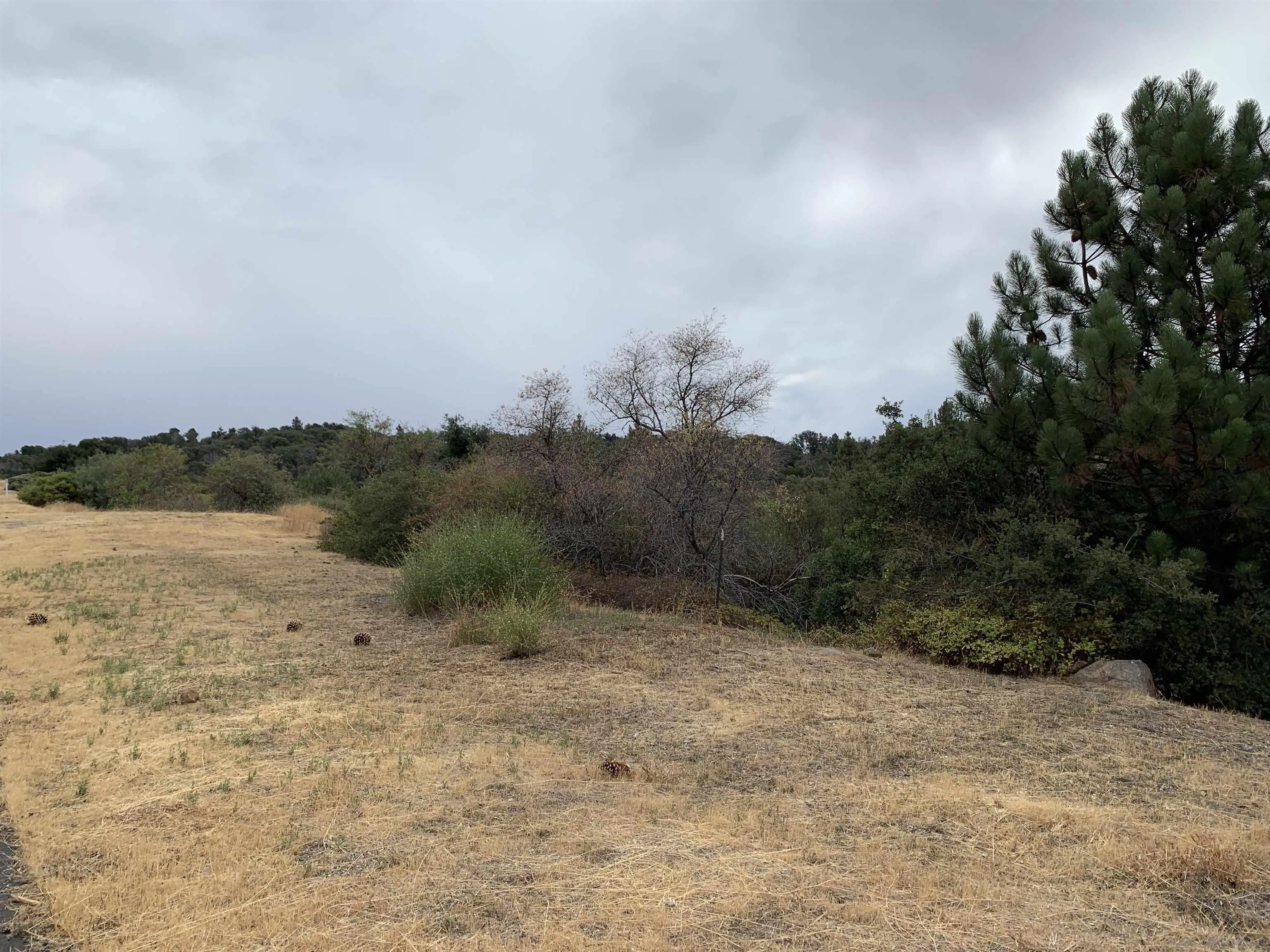 0 West Incense Cedar Road, Unit 40 Julian, CA 92036 - Photo 5 of 20