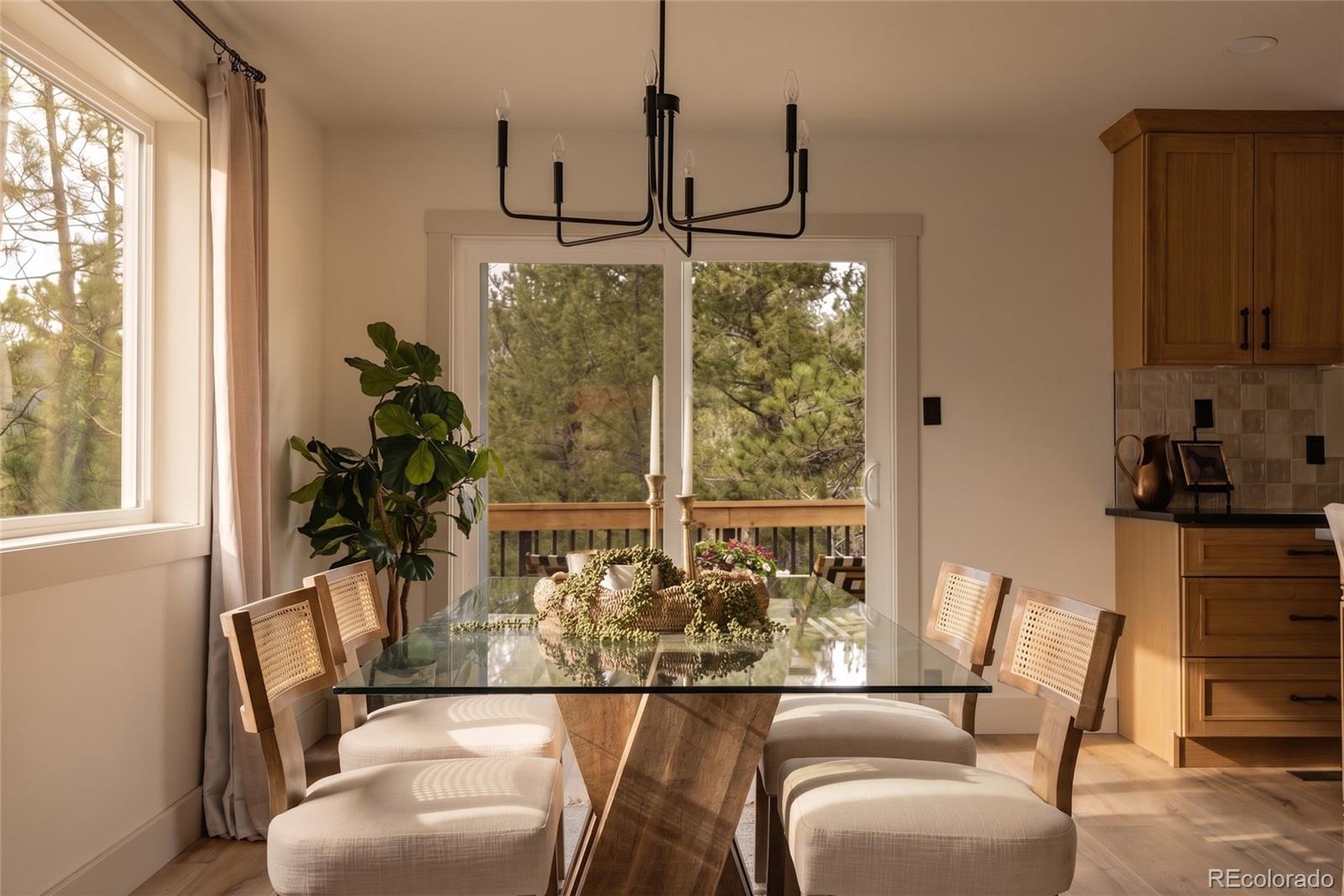 33691 Nova Road Pine, CO 80470 - Photo 14 of 38 Gallery Image 14