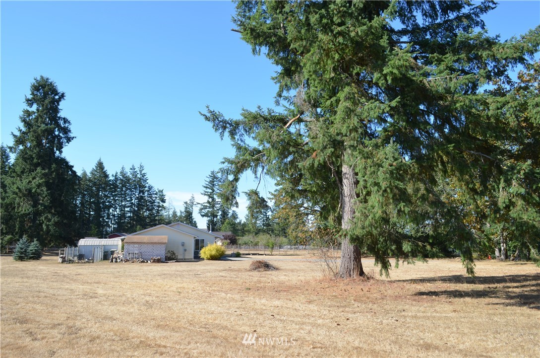 13510 Military Road Southeast Rainier, WA 98576 - Photo 5 of 19 Gallery Image 5