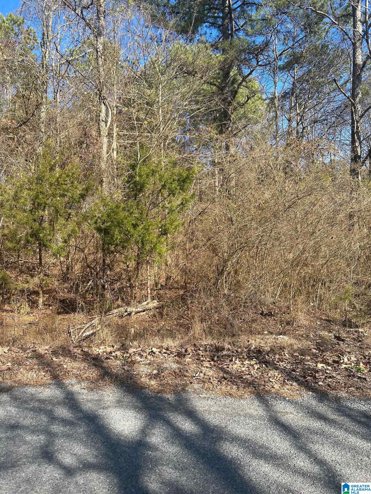 0 Skyball Road Hayden, AL 35079 - Photo 1 of 4 Gallery Image 1