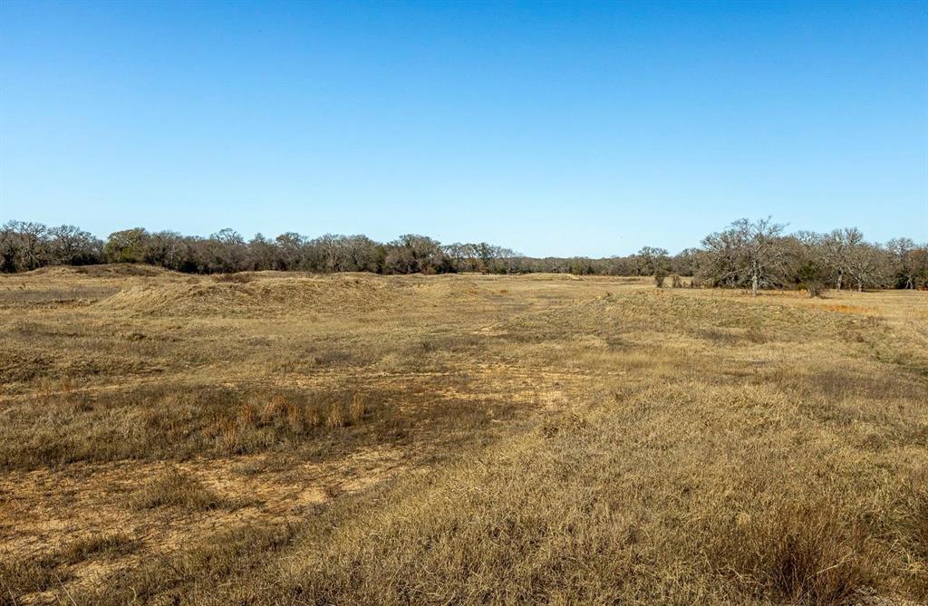 12005 C Road Scurry, TX 75158 - Photo 8 of 20 Gallery Image 8