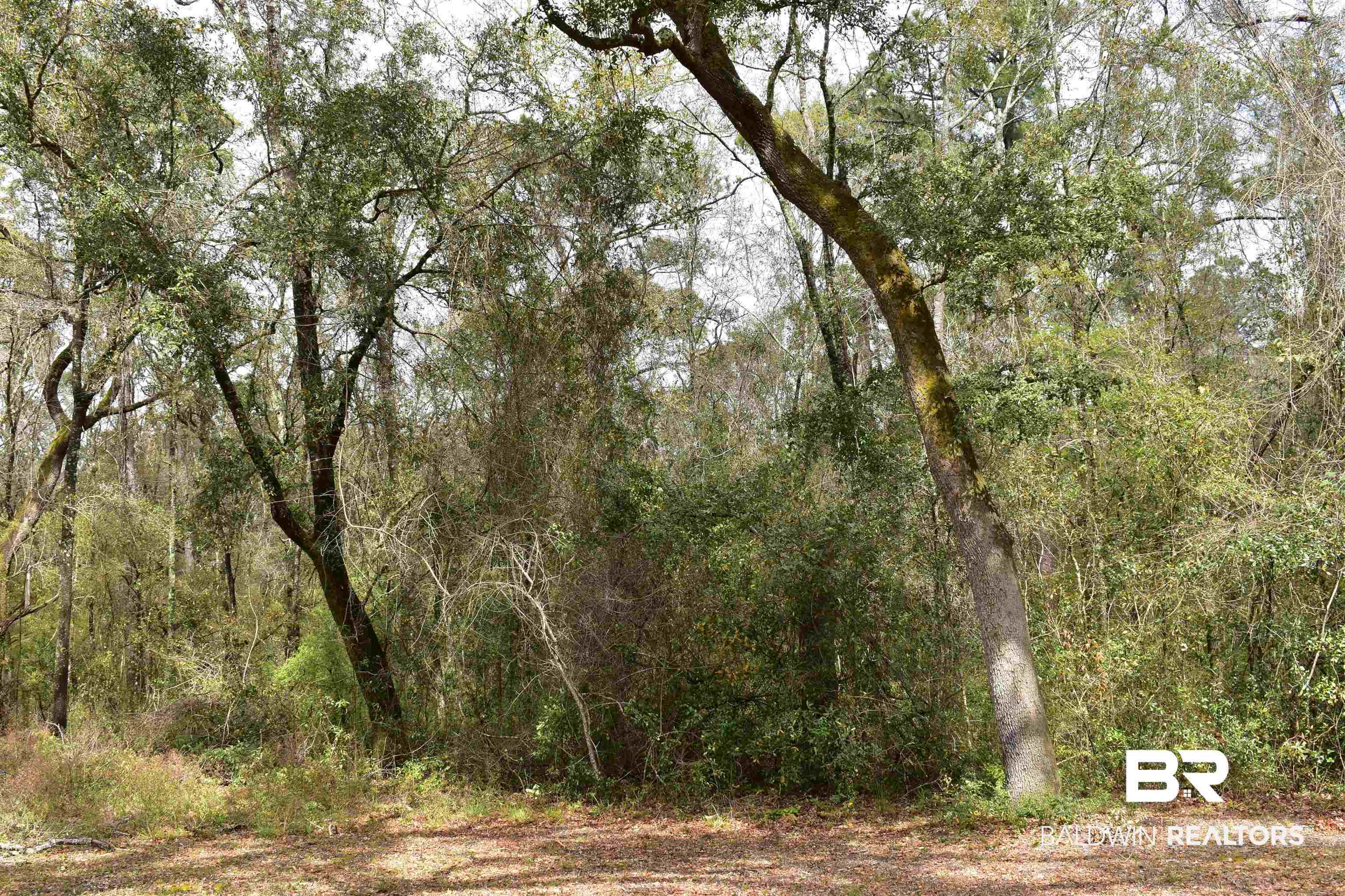 0 Antioch Road Fairhope, AL 36532 - Photo 1 of 21
