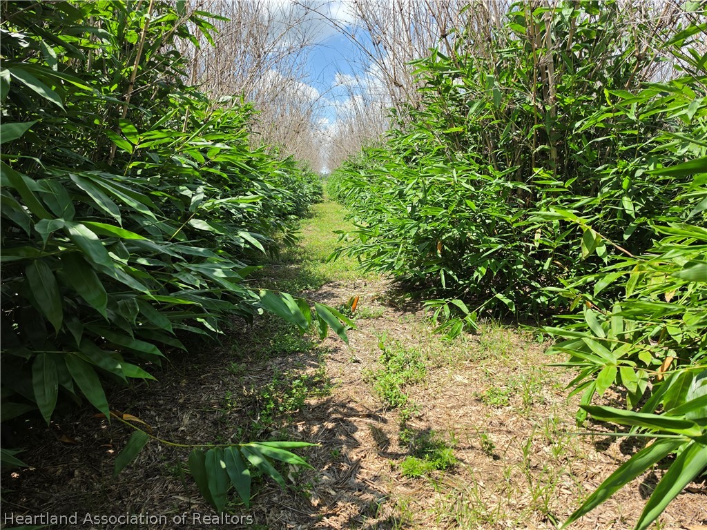 0 West St Road Wauchula, FL 33873 - Photo 22 of 24