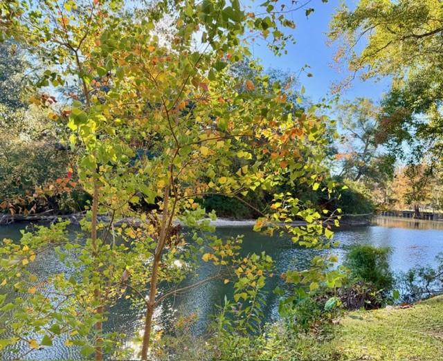 120 Park Drive Covington, LA 70433 - Photo 32 of 40