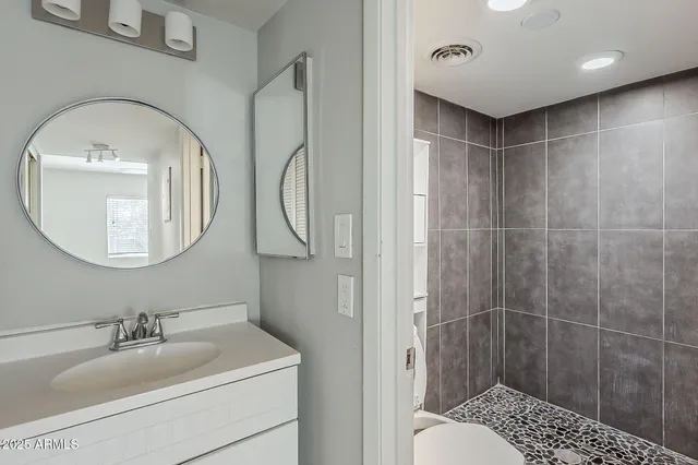 a bathroom with a sink a toilet and a mirror