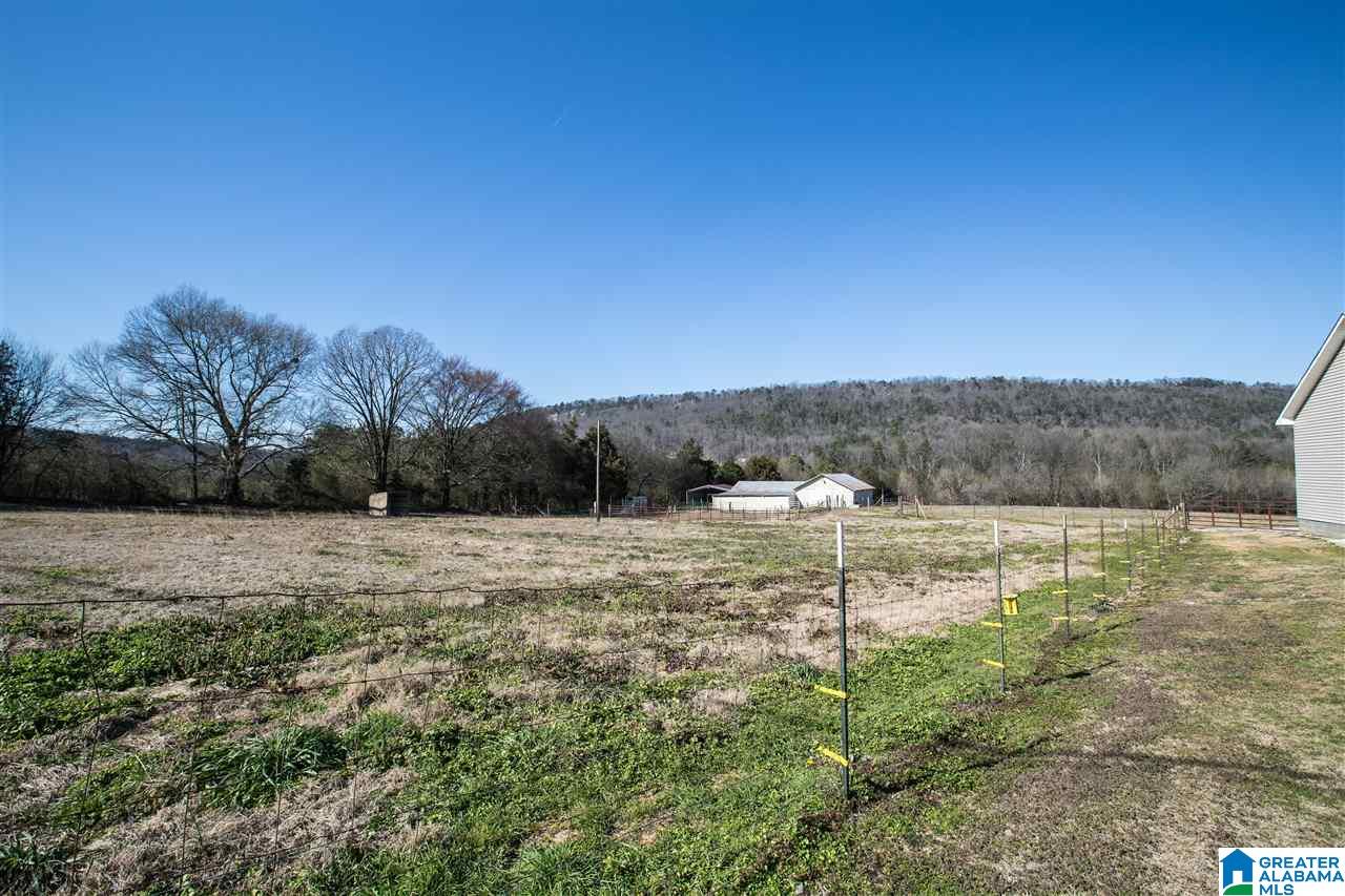 435 County Road 42 Oneonta, AL 35121 - Photo 5 of 40