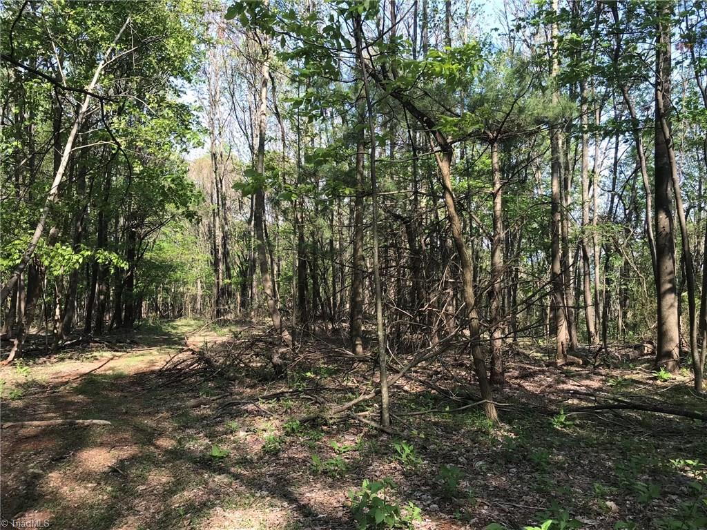 Off Oakley Ridge Road Ronda, NC 28670 - Photo 11 of 25 Gallery Image 11