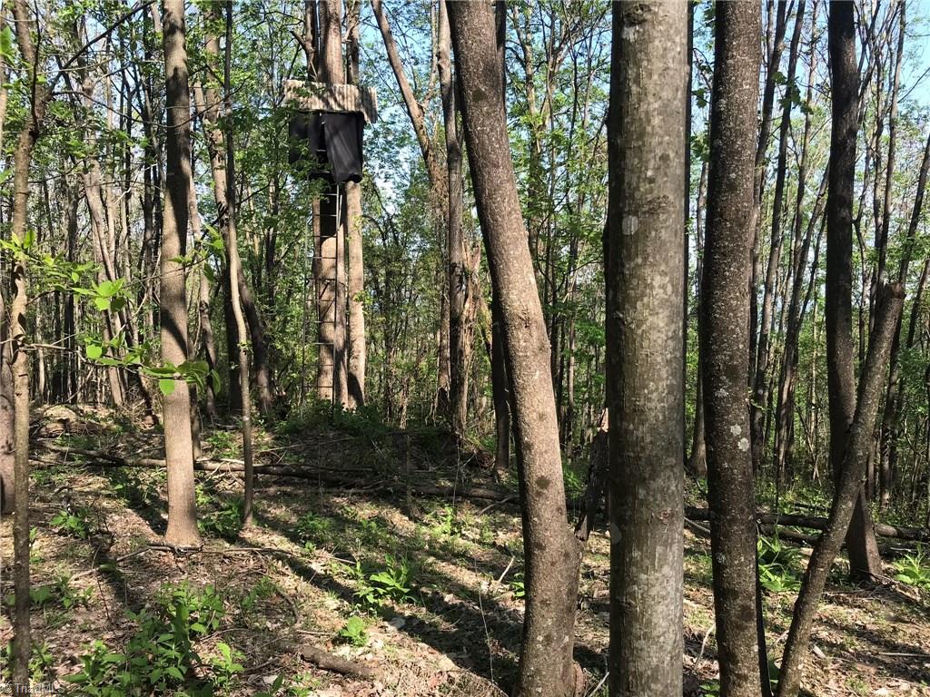 Off Oakley Ridge Road Ronda, NC 28670 - Photo 12 of 25 Gallery Image 12