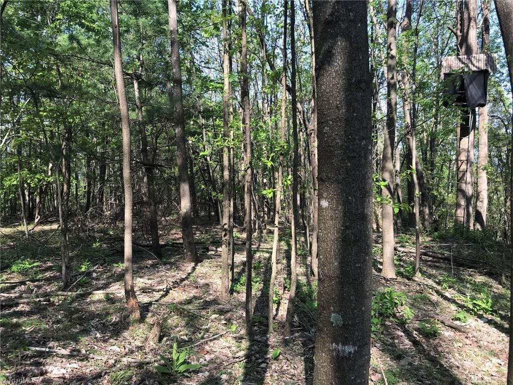 Off Oakley Ridge Road Ronda, NC 28670 - Photo 14 of 25 Gallery Image 14