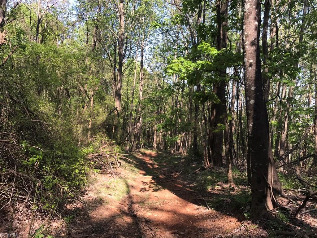 Off Oakley Ridge Road Ronda, NC 28670 - Photo 15 of 25 Gallery Image 15