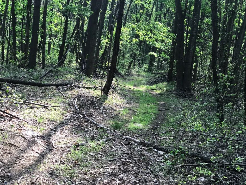Off Oakley Ridge Road Ronda, NC 28670 - Photo 16 of 25 Gallery Image 16