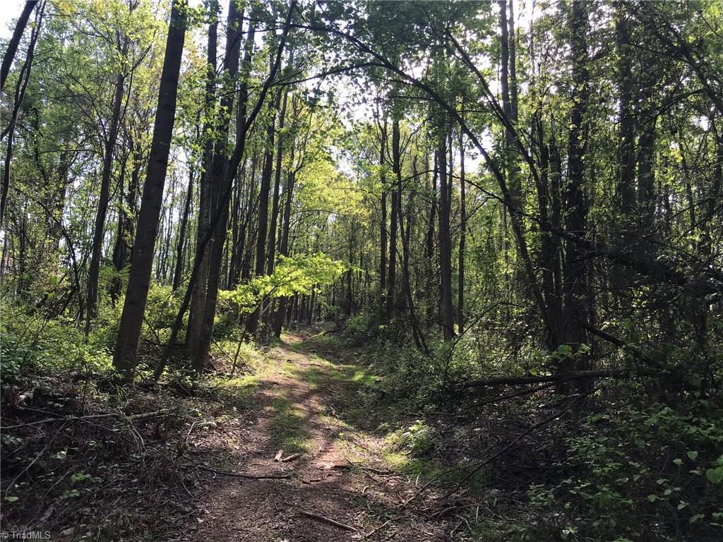 Off Oakley Ridge Road Ronda, NC 28670 - Photo 18 of 25 Gallery Image 18