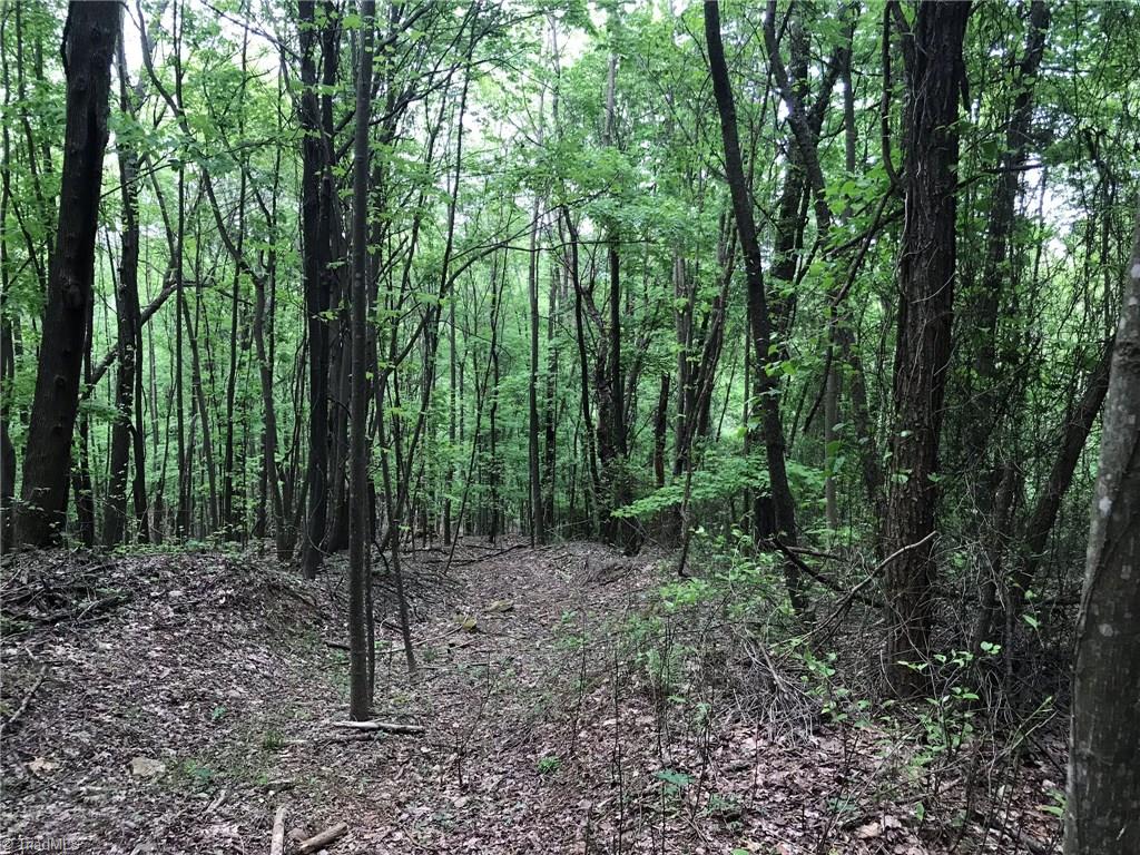 Off Oakley Ridge Road Ronda, NC 28670 - Photo 20 of 25 Gallery Image 20