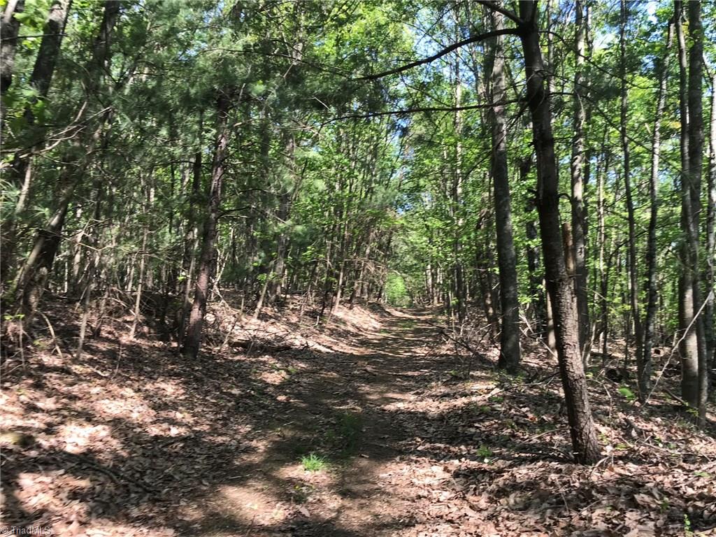 Off Oakley Ridge Road Ronda, NC 28670 - Photo 3 of 25 Gallery Image 3