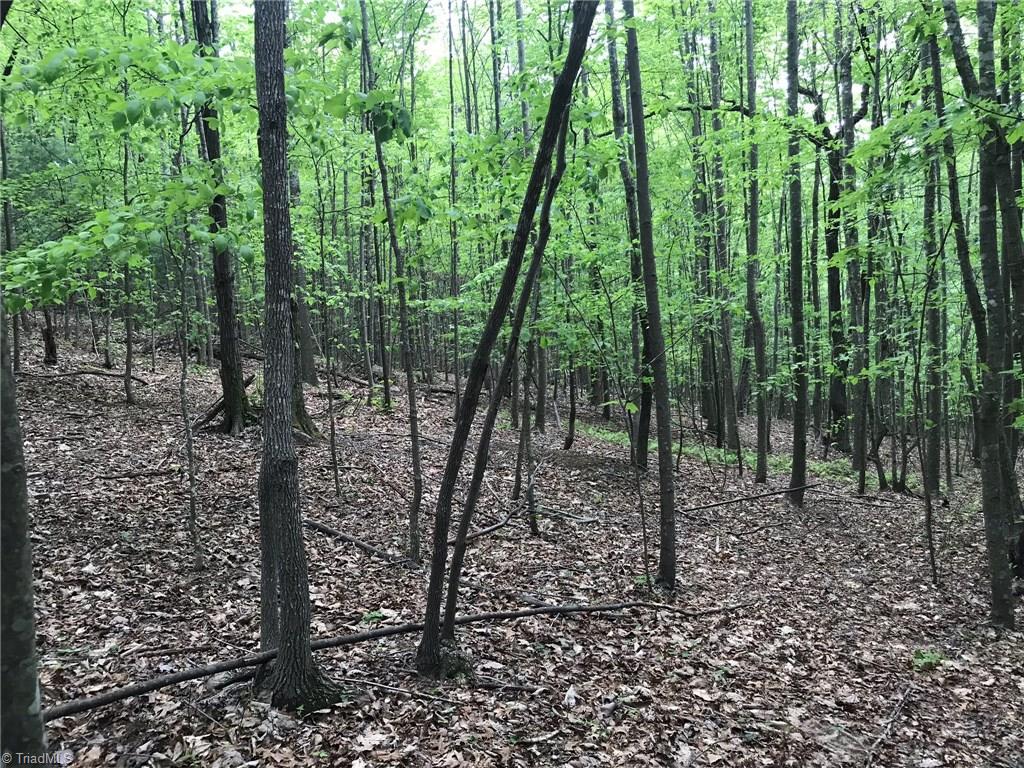 Off Oakley Ridge Road Ronda, NC 28670 - Photo 22 of 25 Gallery Image 22