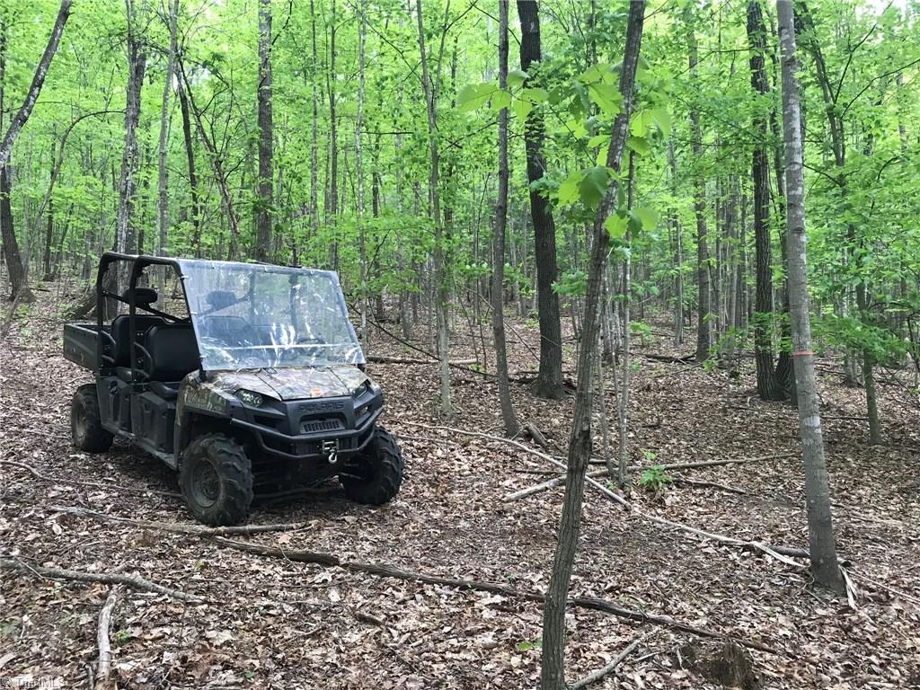 Off Oakley Ridge Road Ronda, NC 28670 - Photo 23 of 25 Gallery Image 23