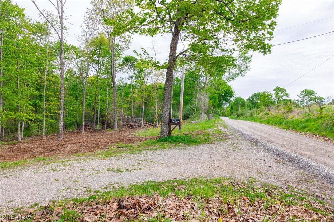 37795 Sheepskin Ridge Road Lower Salem, OH 45745 - Photo 29 of 31