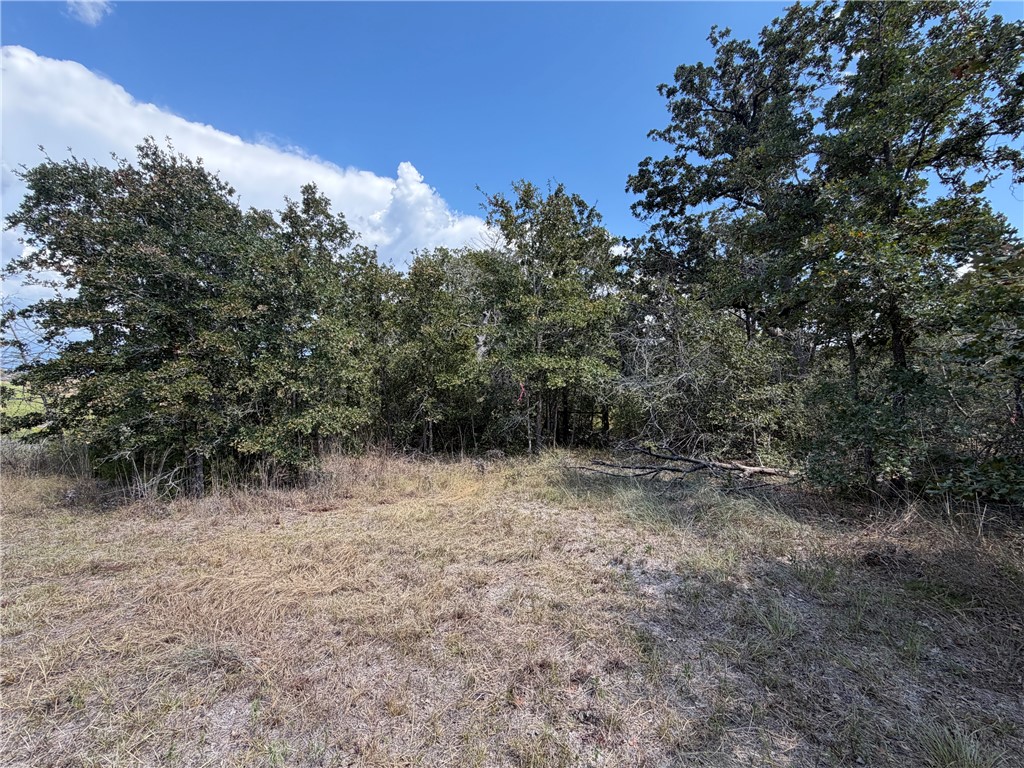 N/a Minter Spring Road College Station, TX 77845 - Photo 9 of 11 Gallery Image 9