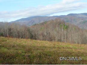 Tbd Tbd Sugar Loaf Mtn Road Marshall, NC 28753 - Photo 1 of 10