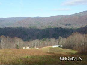 Tbd Tbd Sugar Loaf Mtn Road Marshall, NC 28753 - Photo 2 of 10