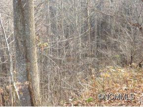 Tbd Tbd Sugar Loaf Mtn Road Marshall, NC 28753 - Photo 3 of 10