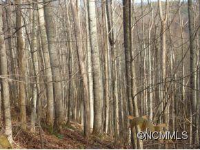Tbd Tbd Sugar Loaf Mtn Road Marshall, NC 28753 - Photo 4 of 10