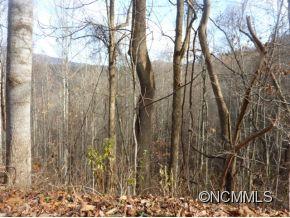 Tbd Tbd Sugar Loaf Mtn Road Marshall, NC 28753 - Photo 6 of 10