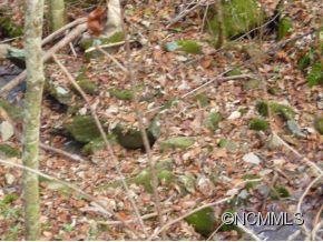 Tbd Tbd Sugar Loaf Mtn Road Marshall, NC 28753 - Photo 7 of 10