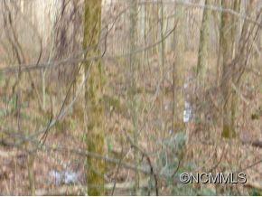 Tbd Tbd Sugar Loaf Mtn Road Marshall, NC 28753 - Photo 10 of 10