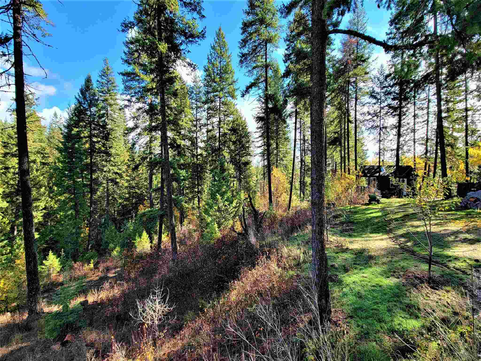 1951 Spring Hill Road Newport, WA 99156 - Photo 19 of 50 Gallery Image 19