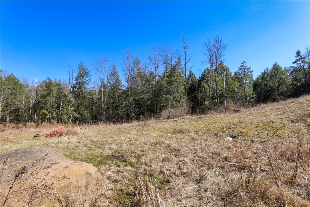 10684 Bear Run Road Caton, NY 14830 - Photo 31 of 32